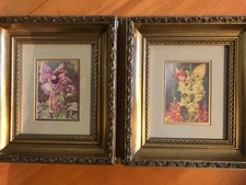 Flower Fairies set of 2