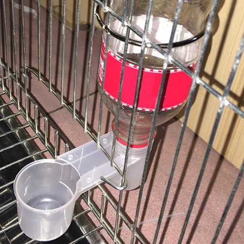 Plastic pet bird drinker - plastic,