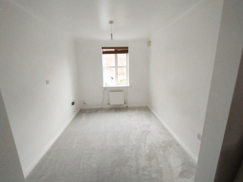 Carpet offcut sensuality - carpet,