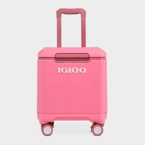 Igloo tag along quart 360 - along, 20