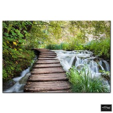 Landscapes Forest Stream   BOX