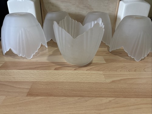 Opal tulip frosted glass - 1x,