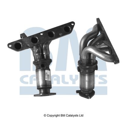 Catalysts bm91108h - catalysts,