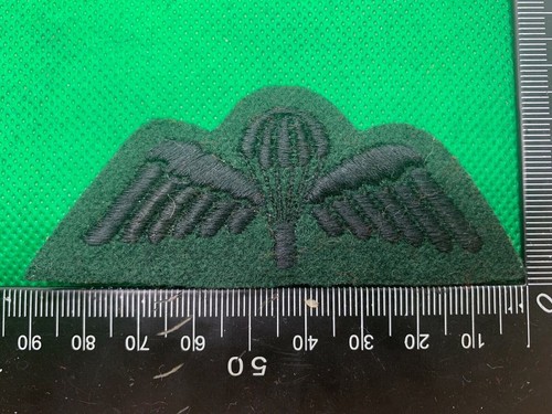 British army paratroopers - paratroopers, jump