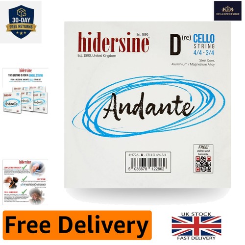 Andante cello string rich - andante,