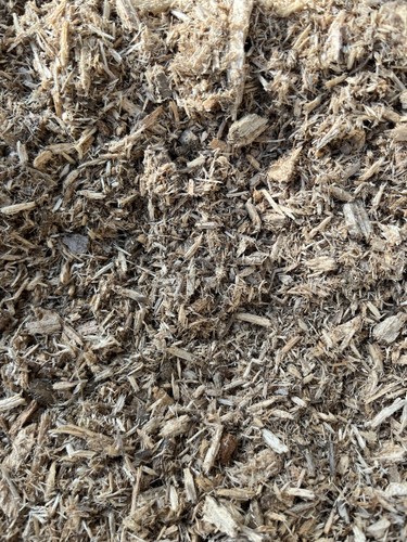 White rotten wood pieces - white, for