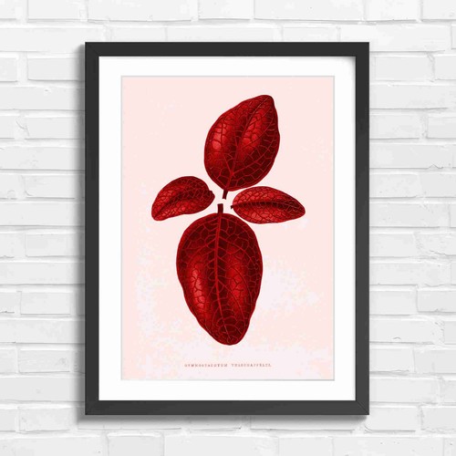 Vintage botanical red veined - red,