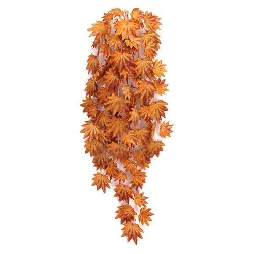 Vivarium plant orange vine - plant,