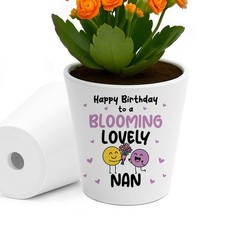 Birthday Gifts For Nan Plant