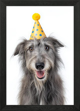 Scottish Deerhound Dog with