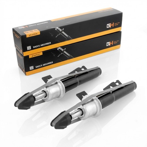 Gas shock absorbers - 2x,