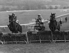 1972 CHAMPION HURDLE BULA P