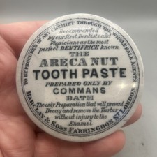 NICE VICTORIAN ARECA NUT TOOTH