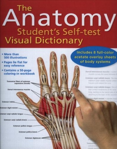 The anatomy student - anatomy, student's