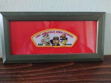 FRAMED "JON" ARBUCKLE AREA COUNCIL BSA GARFIELD FABRIC SCOUT BADGE