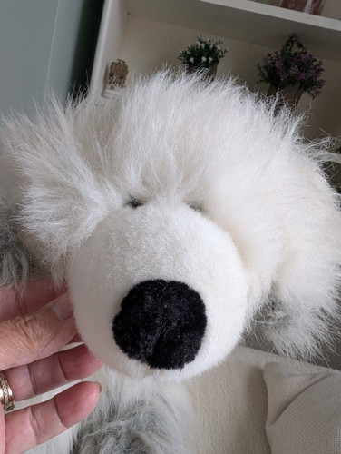 White grey dog arctic fox - arctic, wolf