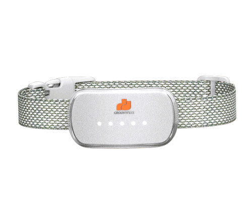 White intelligent automatic - white,