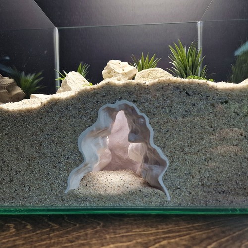 Rift chanel aquarium cave - chanel, |
