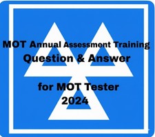  MOT Annual Assessment