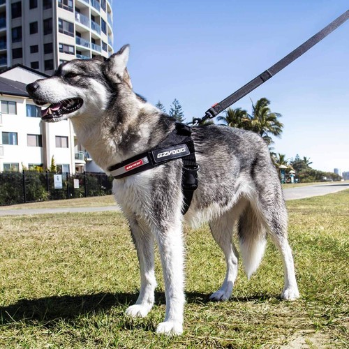 Ezydog express harness - express,