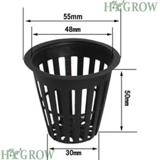 24pcs hydro plant - hydro, cup