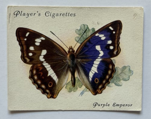 Players british butterflies - british,