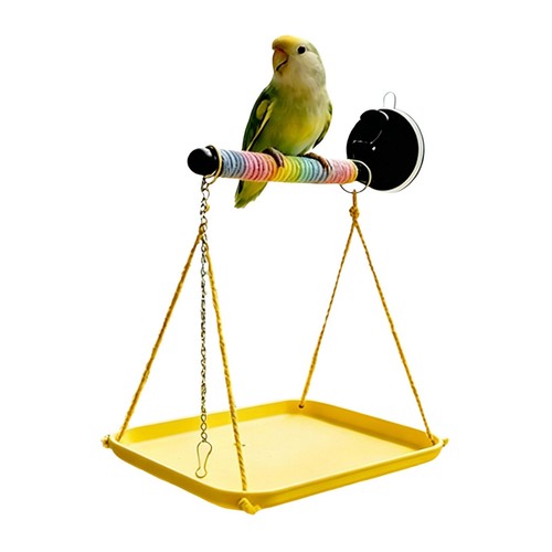 Parrot bird perch suction - parrot, cup