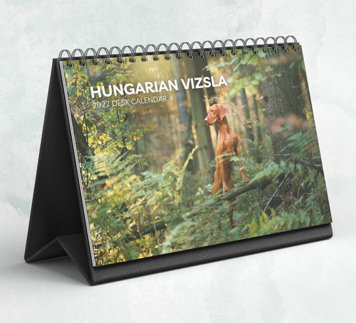 Hungarian vizsla desk calendar - hungarian,