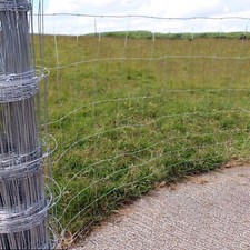 Stock Fencing M8/100/15 Sheep Pig Livestock Fence 50m Long 1m High Galvanised