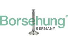 Borsehung B18997 Outlet valve for AUDI,SEAT,SKODA,VW