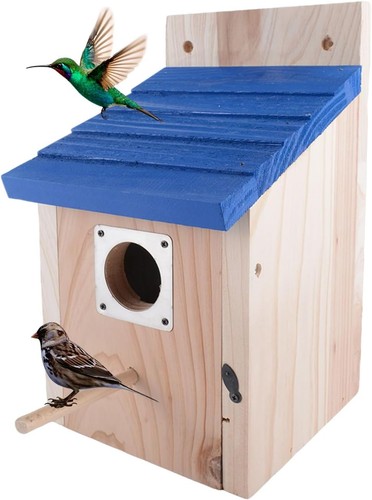 Bird aviary outdoor - bird,