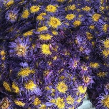 Ceylon Blue Lotus 2 oz