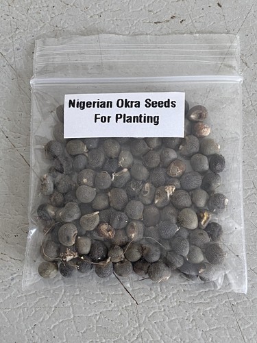 Nigerian planting okra seeds - nigerian,
