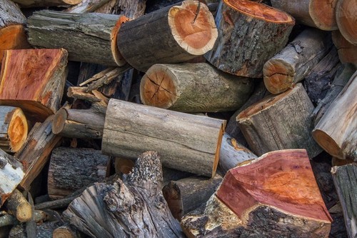 Free log tip - free,