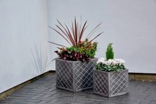 Strata Lazio planters various