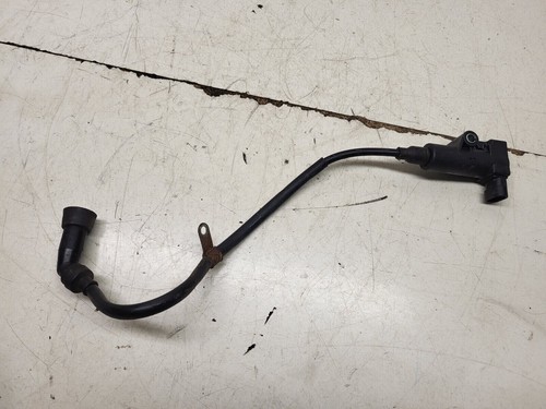 Lexmoto lxr125 coil - lexmoto, (9693)