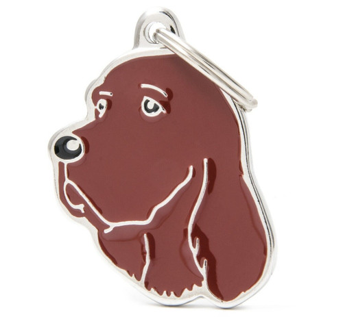 Irish red setter dog - irish, /