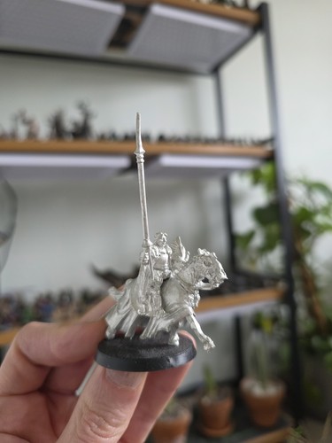 Dol amroth captain mounted - amroth,