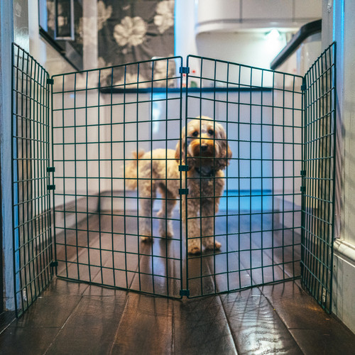 Indoor dog fence folding - dog, mesh