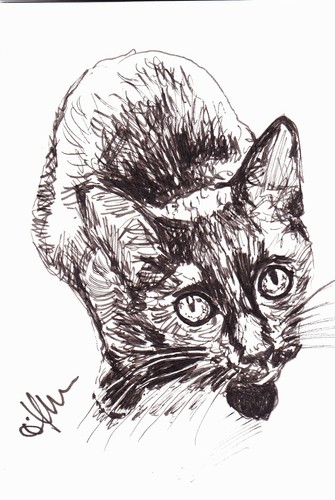 Limited edition print aceo - limited,