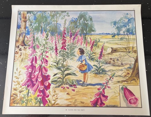 Vintage 1950s enid blyton - 1950s,