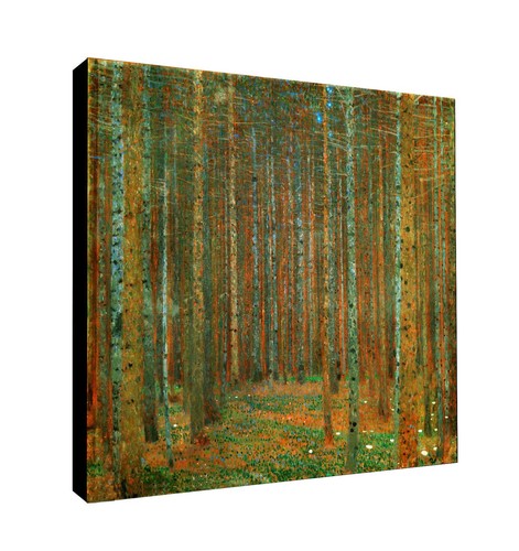 Pine forest tannenwald - pine, by