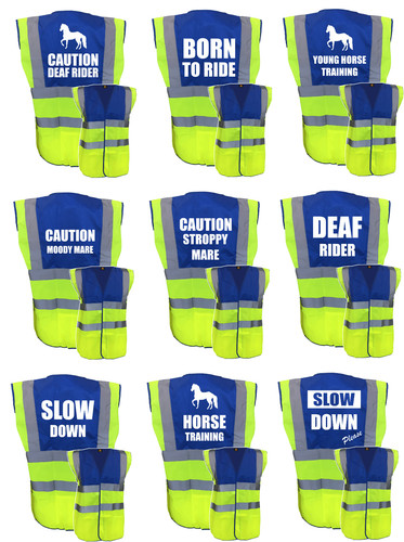 Horse riding vis - hi,