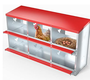 Compartment chicken nesting - chicken,