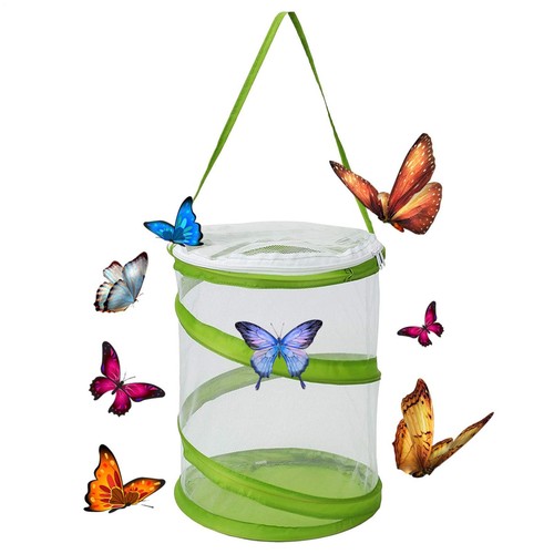 Popup insect and butterfly - popup,