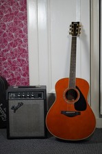 Yamaha LL6T Rare Light Tinted Finish (2011) + Yamaha Case