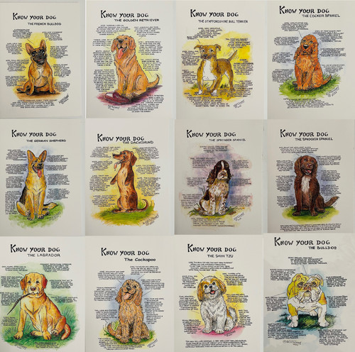 Dick twinney know your dog - dick,