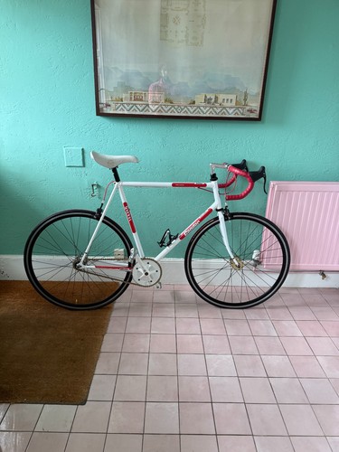 Condor fixed gear - condor,
