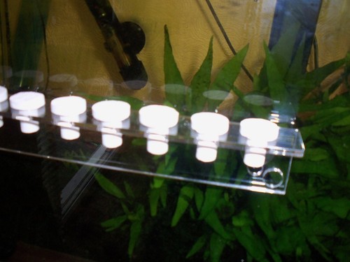 Marine aquarium reef fish tank - marine,