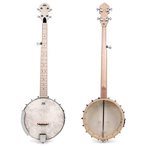 Professional open back banjo - back,